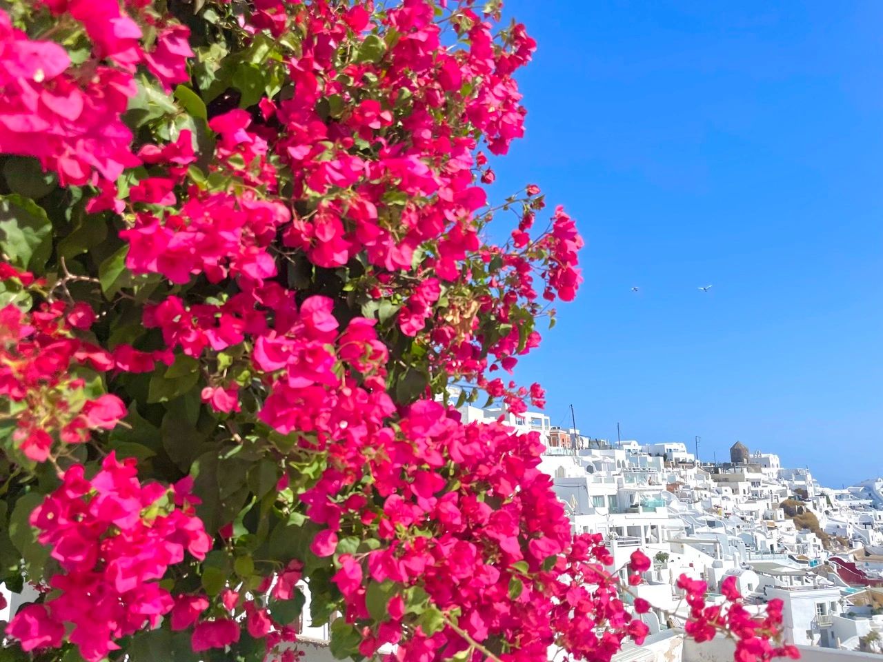 DAY22 - Santorini, Greece ：エーゲ海に浮かぶ、青と白のギリシャの島